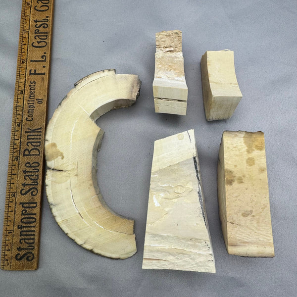 Mammoth Ivory Chunky Lot 41