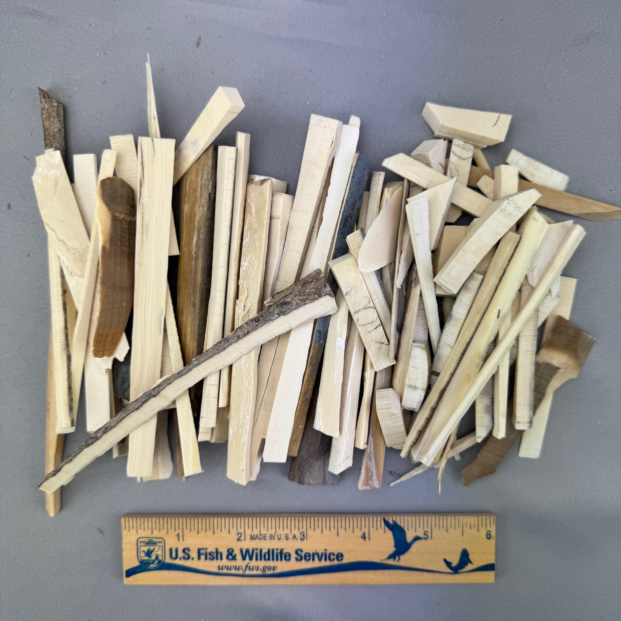 Mammoth Ivory Stick Lot