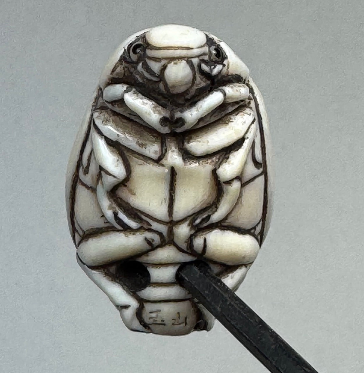 Vintage Beetle Netsuke Hand Carved From Hippo Ivory