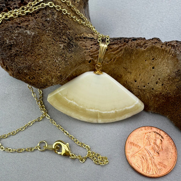 Narwhal Ivory Fan Pendant 03