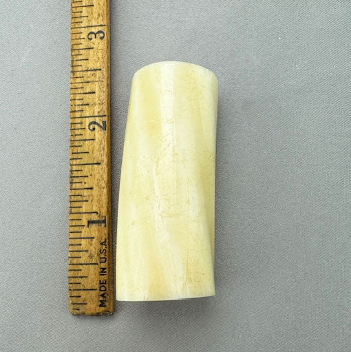 Narwhal Tusk Section 08